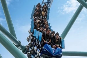 San Diego: SeaWorld Biljett som låter dig hoppa över kön Park Admission