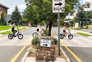 San Diego: Self-Guided E-Bike Tour