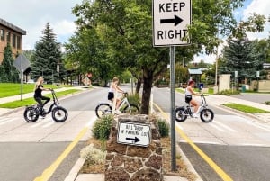 San Diego: excursão autoguiada de bicicleta elétrica