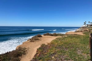 San Diego: Surf-Coaching-Erlebnis mit einem lokalen Profi-Surfer