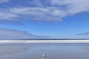 San Diego: Surf-Coaching-Erlebnis mit einem lokalen Profi-Surfer