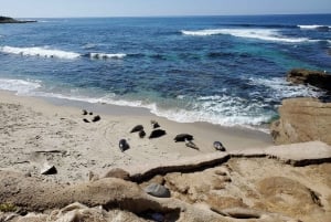 Private tour to San Diego from Los Angeles