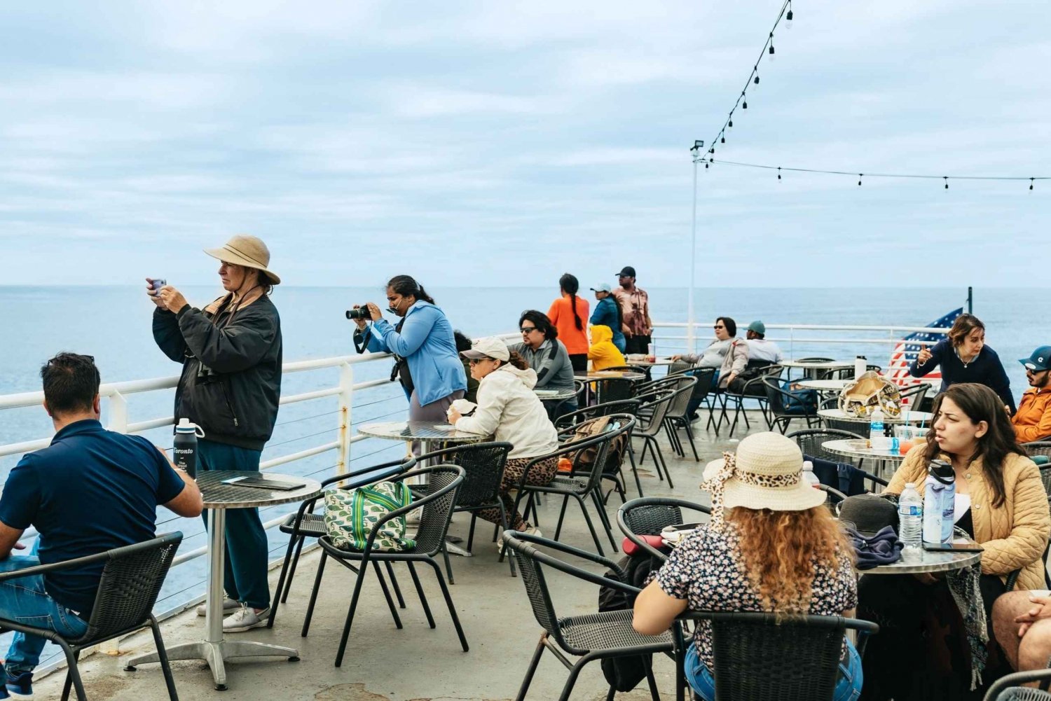 San Diego: City Cruises Whale and Dolphin Watching Cruise