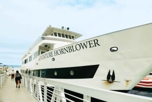 San Diego: Stadtrundfahrt mit Wal- und Delfinbeobachtung