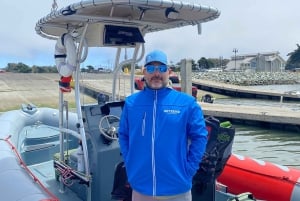 San Diego: Whale and Dolphin Watching Speedboat Tour