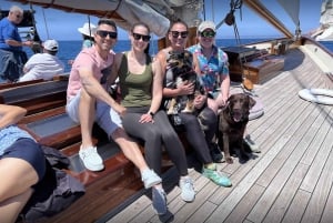 San Diego: Whale Watching Cruise on the Yacht America