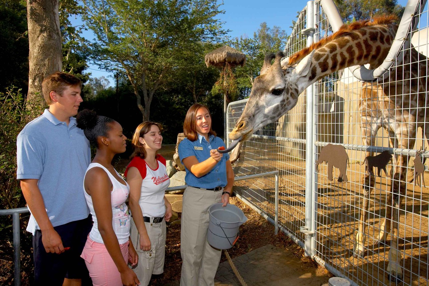 Toegangsticket voor de San Diego Zoo