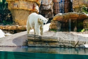 San Diego Zoo Admission Ticket