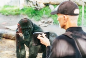 San Diego Zoo Admission Ticket