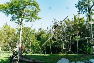 San Diego Zoo Admission Ticket