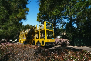 San Diego Zoo Admission Ticket