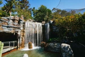 San Diego Zoo Admission Ticket