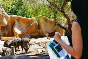 San Diego Zoo Admission Ticket