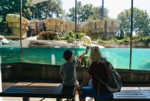 San Diego Zoo Admission Ticket