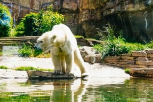 San Diego Zoo Admission Ticket