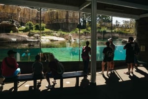 San Diego Zoo Admission Ticket
