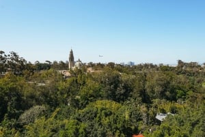 San Diego Zoo Admission Ticket