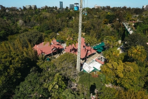 San Diego Zoo Admission Ticket