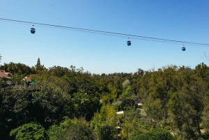 San Diego Zoo Admission Ticket