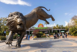 San Diego Zoo Admission Ticket