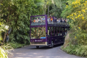 San Diego Zoo Admission Ticket