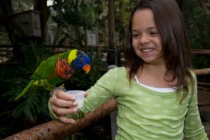 San Diego Zoo och Safari Park 2-dagars inträdesbiljett