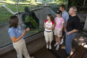 San Diego Zoo och Safari Park 2-dagars inträdesbiljett