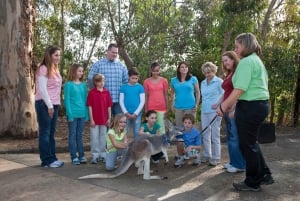 San Diego Zoo och Safari Park 2-dagars inträdesbiljett