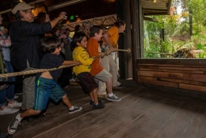 San Diego Zoo och Safari Park 2-dagars inträdesbiljett