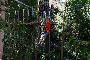 San Diego Zoo och Safari Park 2-dagars inträdesbiljett