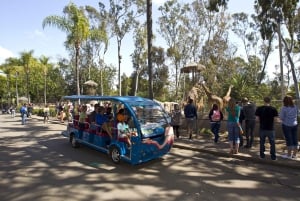 San Diego Zoo och Safari Park 2-dagars inträdesbiljett