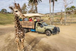 Ticket de acceso de 2 días al Zoo y Safari Park de San Diego