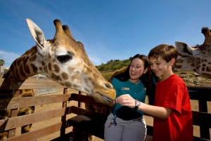 San Diego Zoo Safari Parkin 1 päivän lippu
