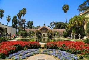 Skip-the-line San Diego Museum of Art Private Guided Tour