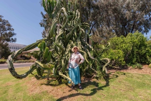 Частная экскурсия с гидом по Музею искусств Сан-Диего без очереди