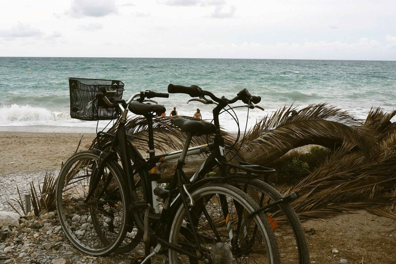 Solana Beach: Beach Cruiser Full-Day Bike Rental