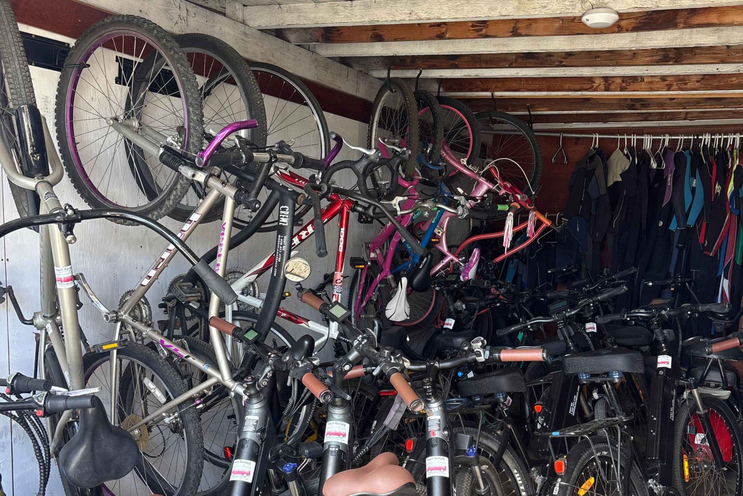 Solana Beach: Beach Cruiser Full-Day Bike Rental