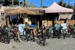 Solana Beach : Location de vélo Beach Cruiser pour une journée entière