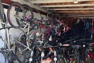 Solana Beach : Location de vélo Beach Cruiser pour une journée entière