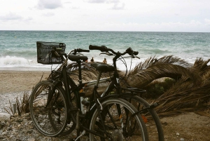 Solana Beach: Beach Cruiser Full-Day Bike Rental