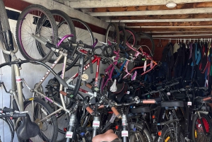 Solana Beach: Beach Cruiser Full-Day Bike Rental