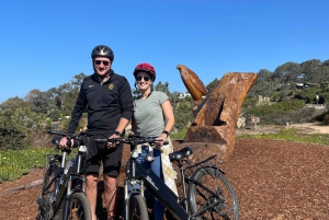 Solana Beach: El-sykkeltur til Torrey Pines eller North Coast