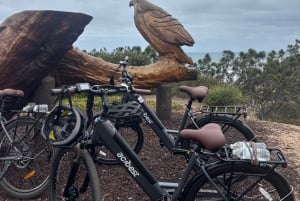 Solana Beach: El-sykkeltur til Torrey Pines eller North Coast