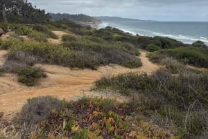 Solana Beach: El-sykkeltur til Torrey Pines eller North Coast