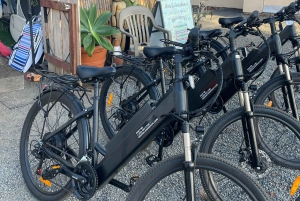 Solana Beach: Electric Bike Rental with 5-Level Pedal Assist