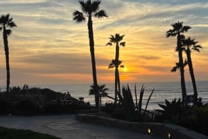 Solana Beach: Electric Bike Rental with 5-Level Pedal Assist