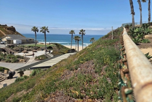 Solana Beach: Electric Bike Rental with 5-Level Pedal Assist