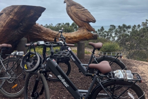 Solana Beach: Electric Bike Rental with 5-Level Pedal Assist