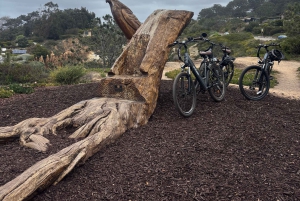 Solana Beach: verhuur van elektrische fietsen met trapondersteuning op 5 niveaus