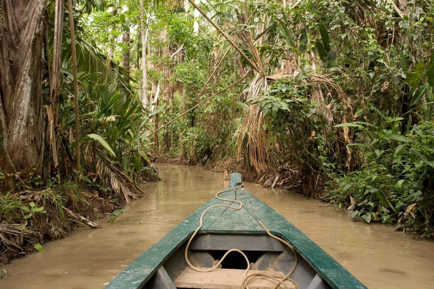 Puerto Maldonado: Excursión de 4 días a la Collpa de Guacamayos y Alojamiento